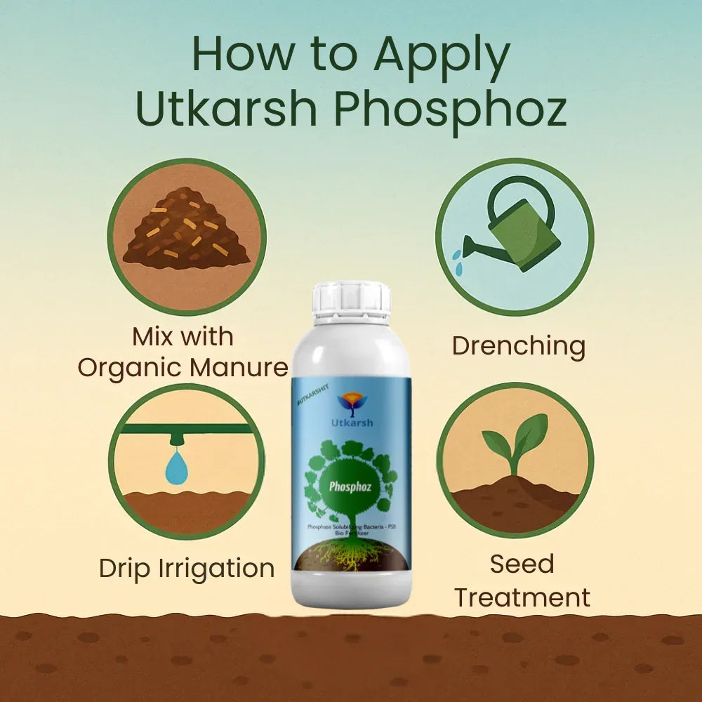 Phosphate Solubilizing Bacteria - PSB, Liquid Bio Fertilizer for Plants Growth, Nutrition, Develops Roots, Increases Flowering & Fruits, Crops | Phosphoz - 20 Liter - Utkarsh Agrochem Pvt ltd.