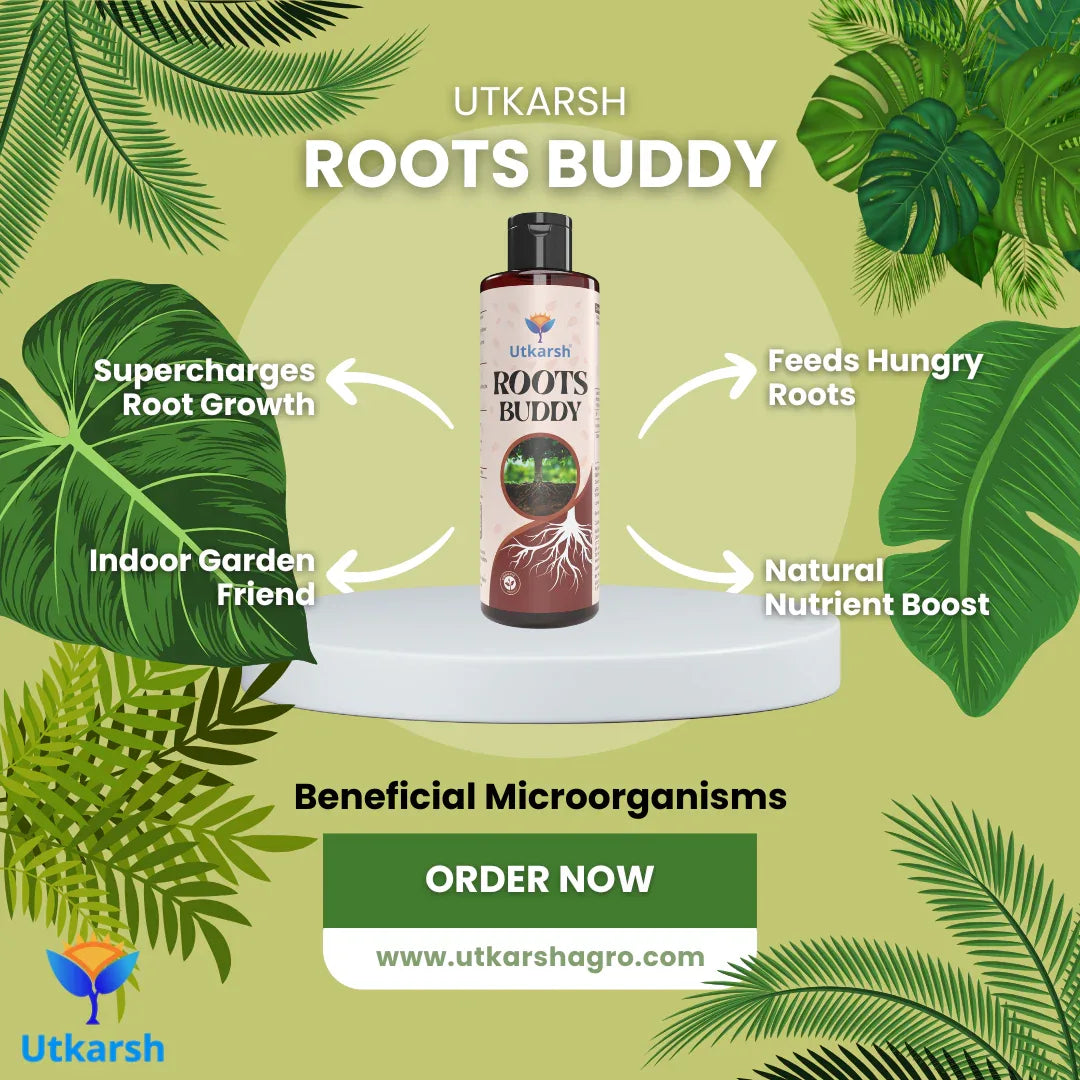 Plant Growth & Nutrition Kit - Promotes Healthy Roots & Robust Growth, Immunity Booster, Organic Liquid Fertilizer & Micronutrients for Home Garden, Indoor & Outdoor Plants - Utkarsh Agrochem Pvt ltd.