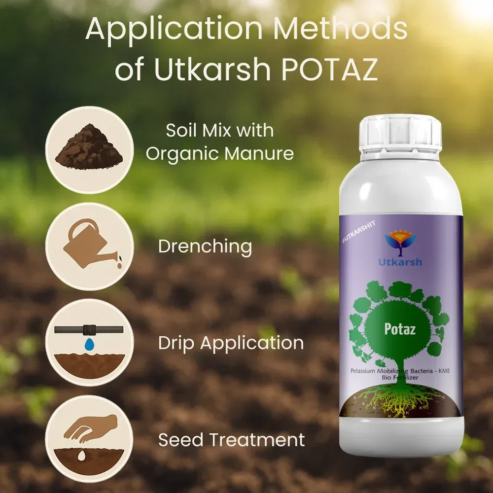 Potassium Solubilizing Bacteria - KSB, Liquid Bio Fertilizer for Plants Growth, Enhances Water Retention and Size, Colour, Quality & Yield of Fruits, Crops | Potaz - 20 Litre - Utkarsh Agrochem Pvt ltd.
