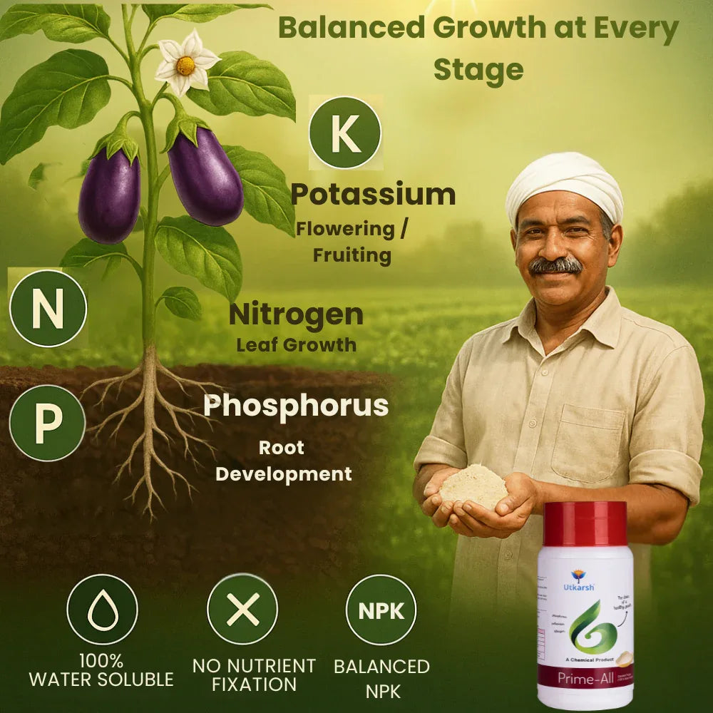 Prime All - Amino Acid Chelated Mix - Nitrogen, Phosphorus, Potassium (100 % Water Soluble Chemical for Foliar Spray) - Utkarsh Agrochem Pvt ltd.