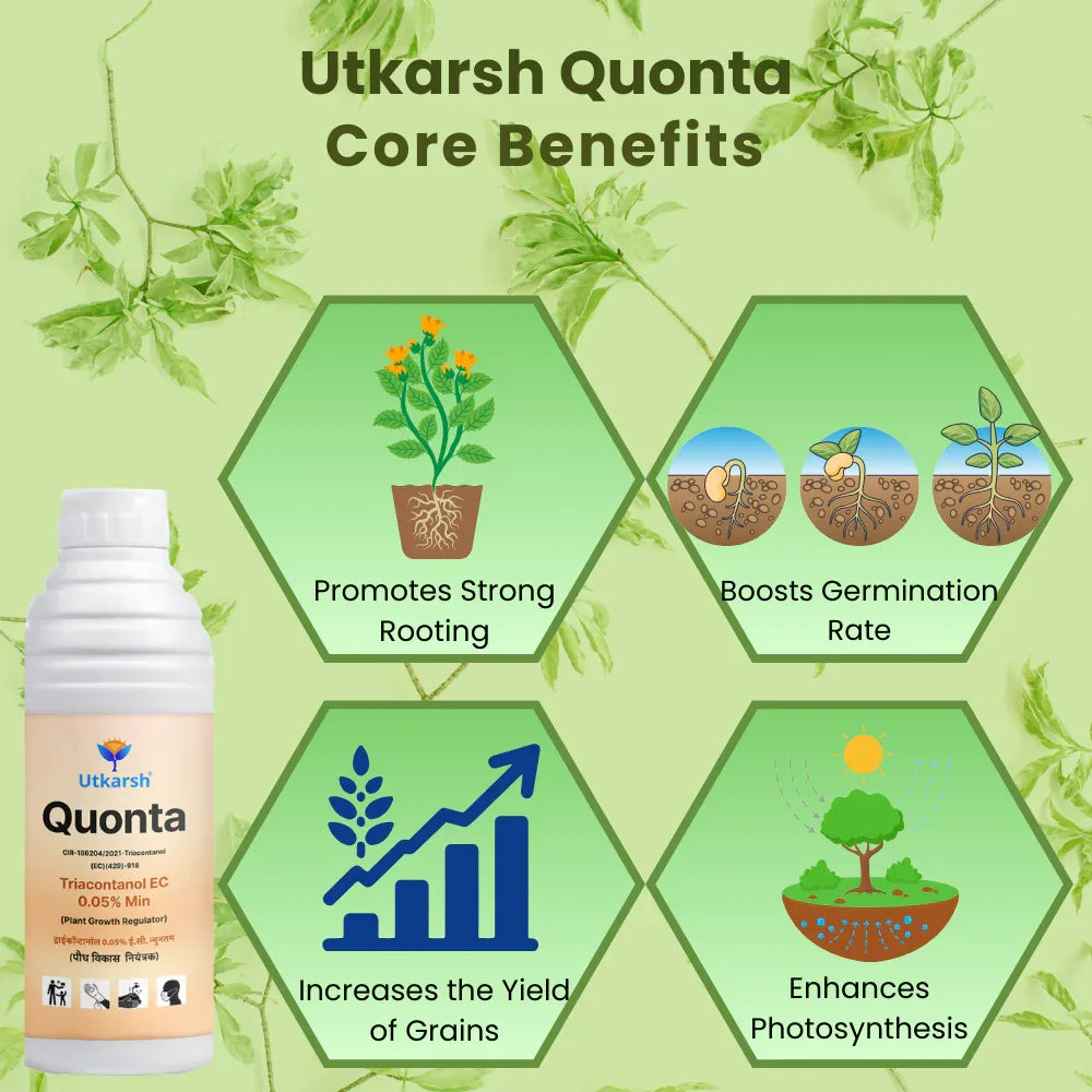 Quonta (Triacontanol 0.05% EC) | Plant Growth Regulator - Utkarsh Agrochem Pvt ltd.