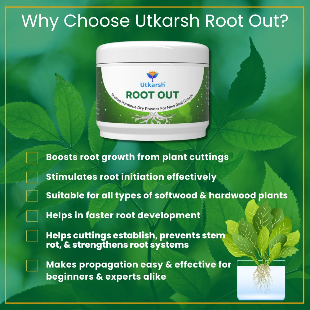 Root Out - Rooting Hormone Powder | Enhances Root Formation of Plant Cuttings | Fast Root Growth Booster | Rooting Powder for Propagation, Grafting, Cloning & Transplant Success