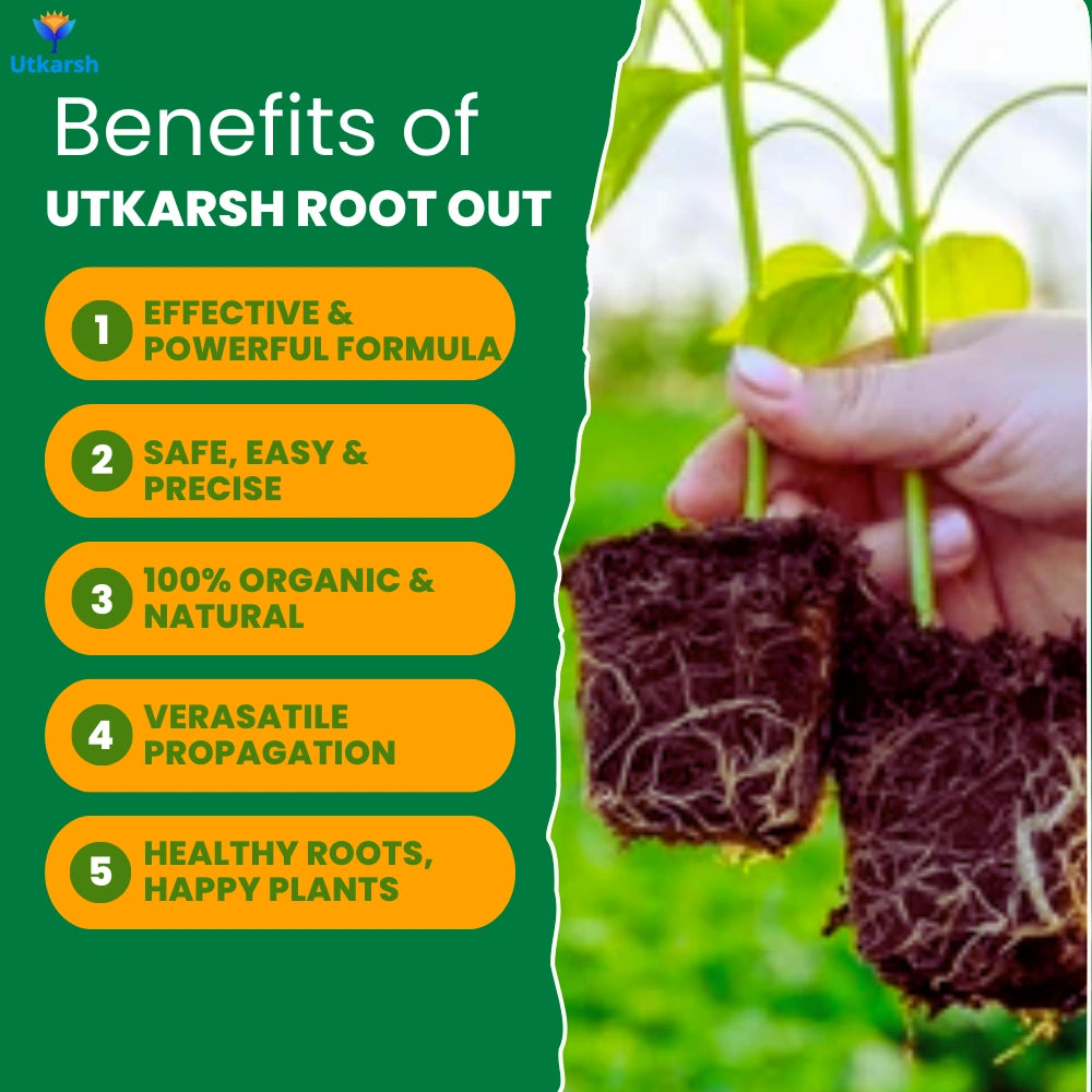 Root Out - Rooting Hormone Powder | Enhances Root Formation of Plant Cuttings | Fast Root Growth Booster | Rooting Powder for Propagation, Grafting, Cloning & Transplant Success