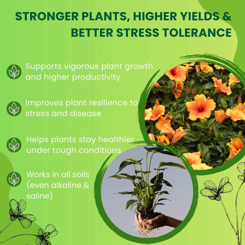 Roots Multiplier Plant Food | Hairy Root Booster for Plants | Enhances Root Growth, Nutrient Uptake & Plant Health