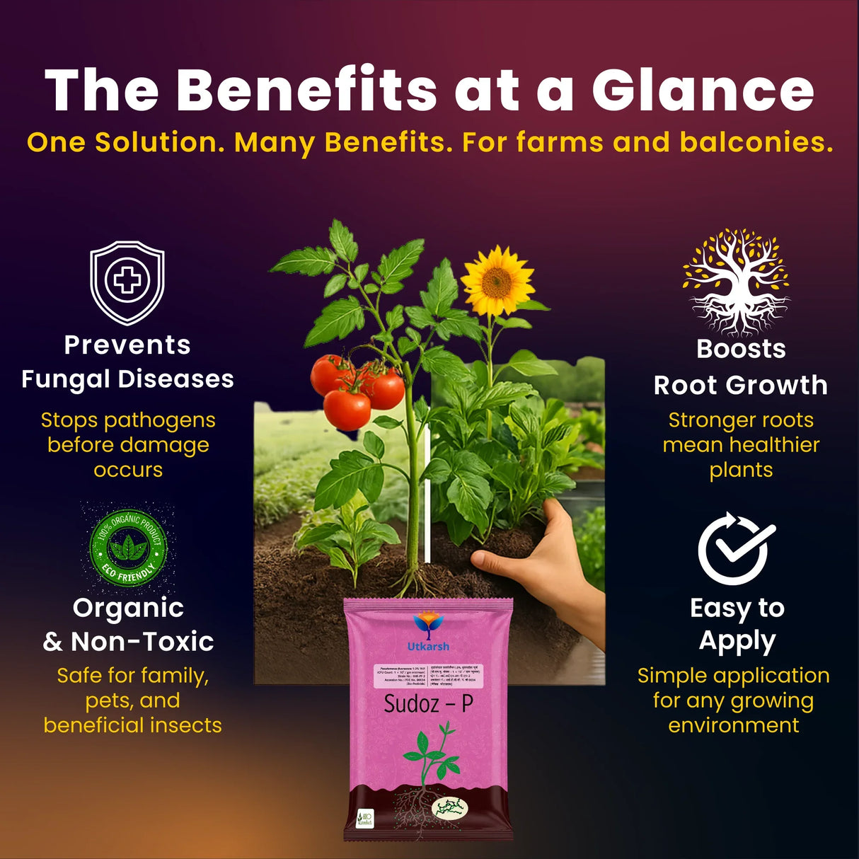 Pseudomonas Fluorescens 1.0% W.P. CFU Count: 1 x 10^8 / gm. min. Bio Fungicides for Plants, Crops and Home Gardening - Sudoz-P - Utkarsh Agrochem Pvt ltd.