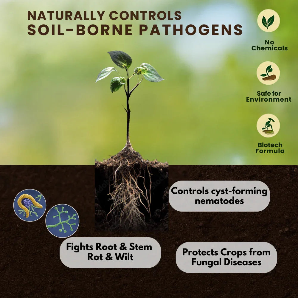 Trichoderma Harzianum 1% WP 2 x 10^6 CFU/gm min. Bio Fungicides for Plants, Crops and Home Gardening - Trichoherz-P - Utkarsh Agrochem Pvt ltd.