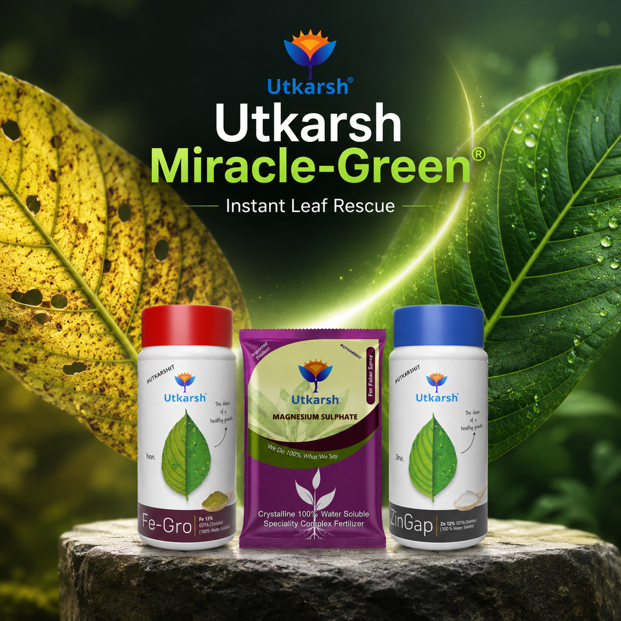 Miracle-Green Combo - Fegro - Iron Fe-12% EDTA Chelated 250gm, ZinGap - Zinc Zn-12% EDTA Chelated 250gm, & Magnesium Sulphate ( Epsom Salt) 900 gm