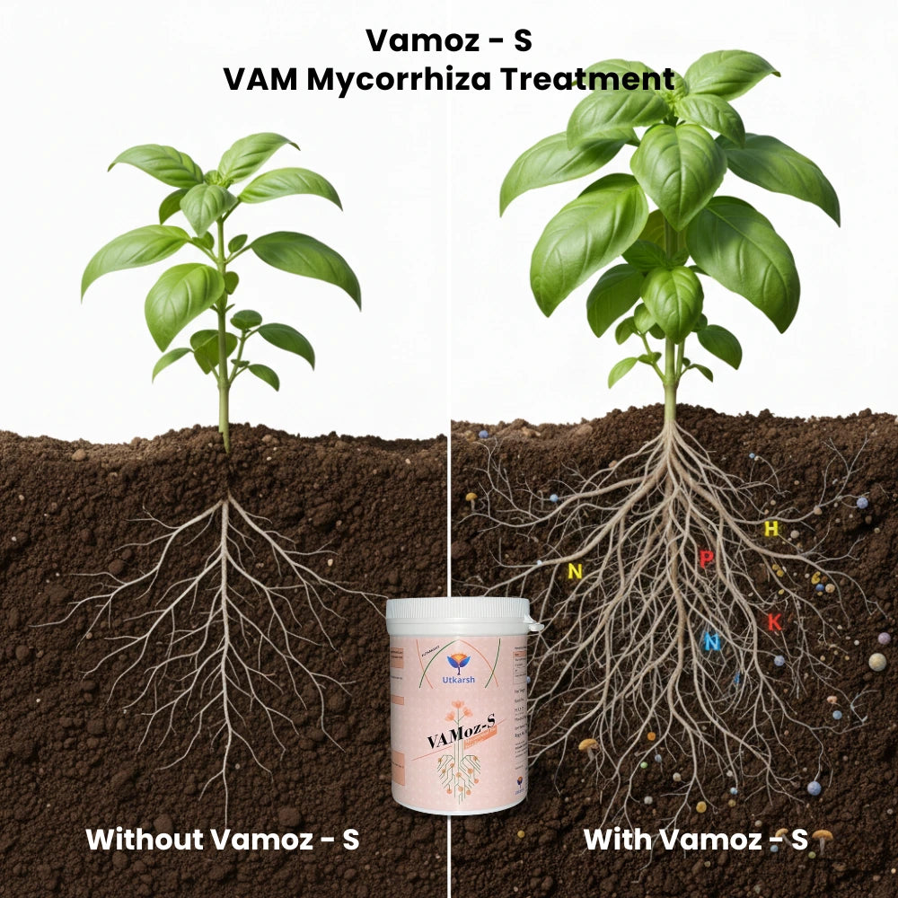 Mycorrhiza Powder with 5000 IP/gm, Bio Fertilizers for Plants, Root Growth, Plant Health Promoter, Home Garden | Vamoz - S