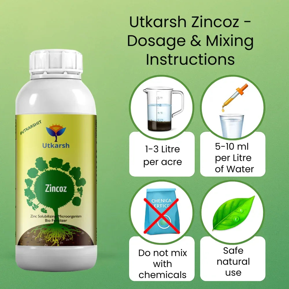 Zinc Solubilizing Microbes, Liquid Bio Fertilizer for Plants Growth, Increases Leaf Size & Promotes Healthy Green Foliage of Plants & Internode Length | Zincoz - 20 Litre - Utkarsh Agrochem Pvt ltd.