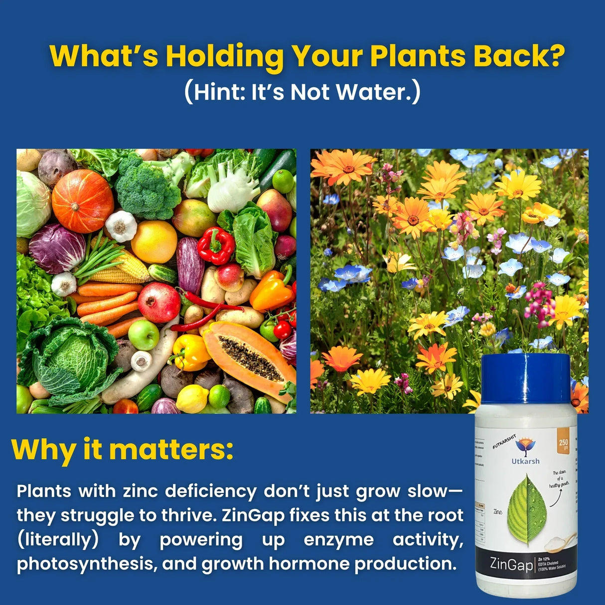 Zinc - 12% EDTA Chelated, 100% Water Soluble Fertilizers for Plants, Micronutrient for Green Foliage, Home Garden, Plant Growth Booster | ZinGap - Utkarsh Agrochem Pvt ltd.