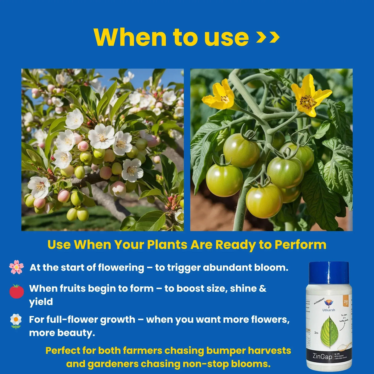 Zinc - 12% EDTA Chelated, 100% Water Soluble Fertilizers for Plants, Micronutrient for Green Foliage, Home Garden, Plant Growth Booster | ZinGap - Utkarsh Agrochem Pvt ltd.