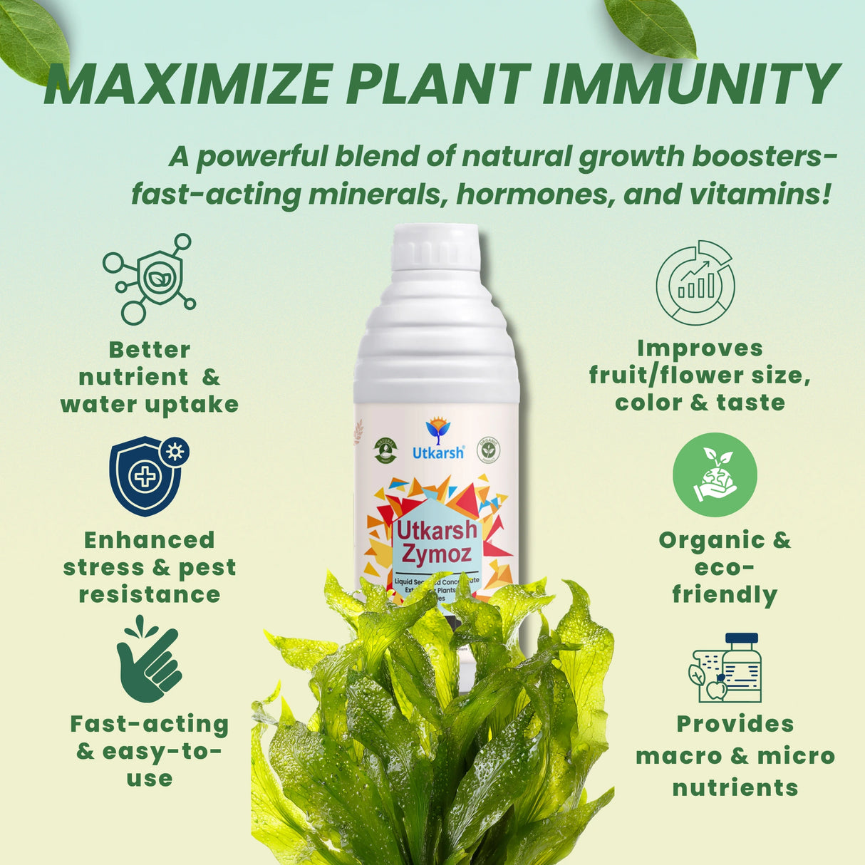 Liquid Seaweed Extract | Organic Plant Growth Promoter for Healthy Plants | Enhances Flowering & Improves Fruit Set | Biostimulant For Home Garden - Zymoz