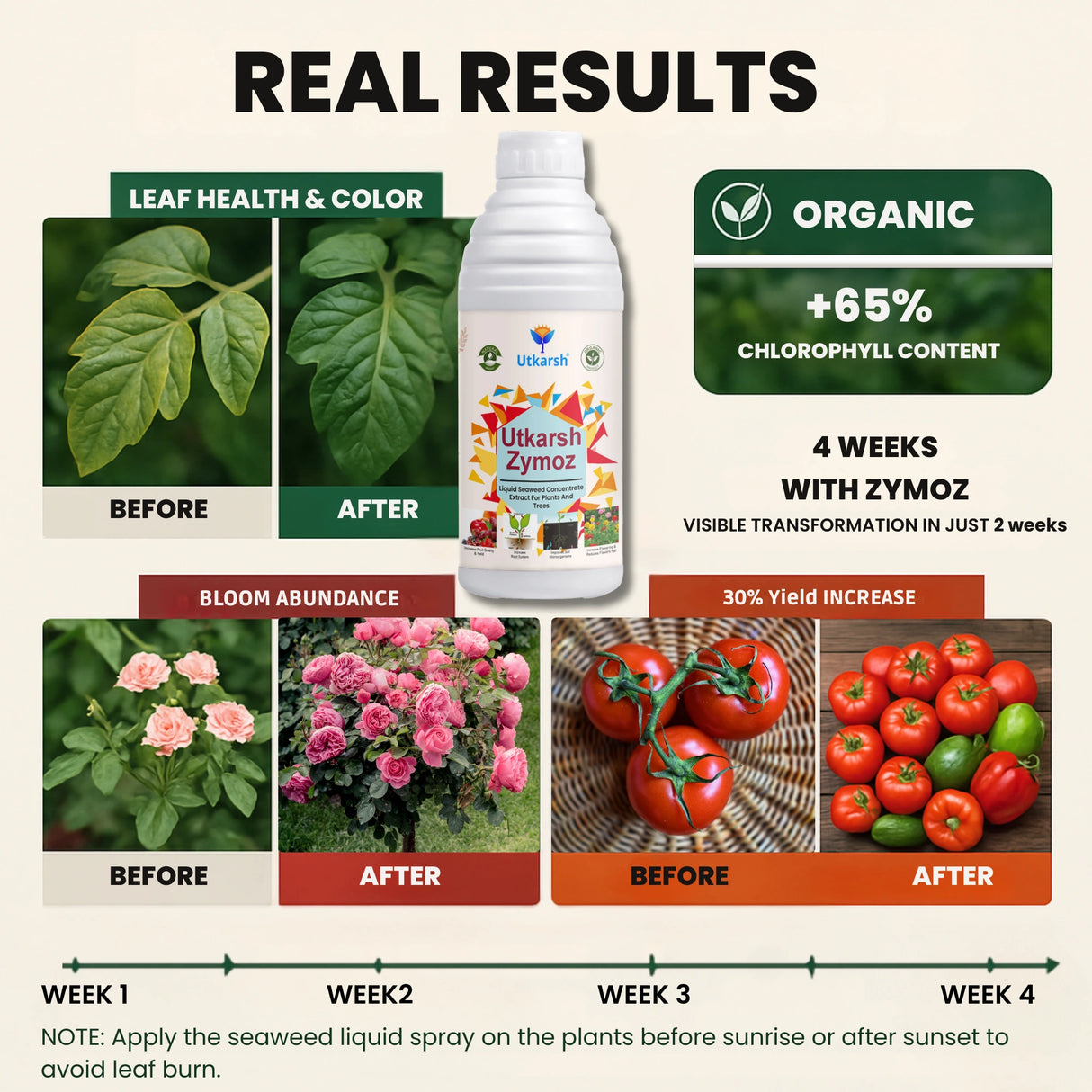 Liquid Seaweed Extract | Organic Plant Growth Promoter for Healthy Plants | Enhances Flowering & Improves Fruit Set | Biostimulant For Home Garden - Zymoz