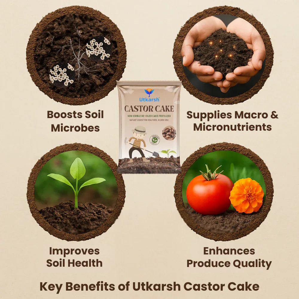 Castor Oil Cake Fertilizer for Plants | Organic Castor Khali Compost Powder for Home Garden, Manure for Flowers, Vegetables & Lawn - Utkarsh Agrochem Pvt ltd.