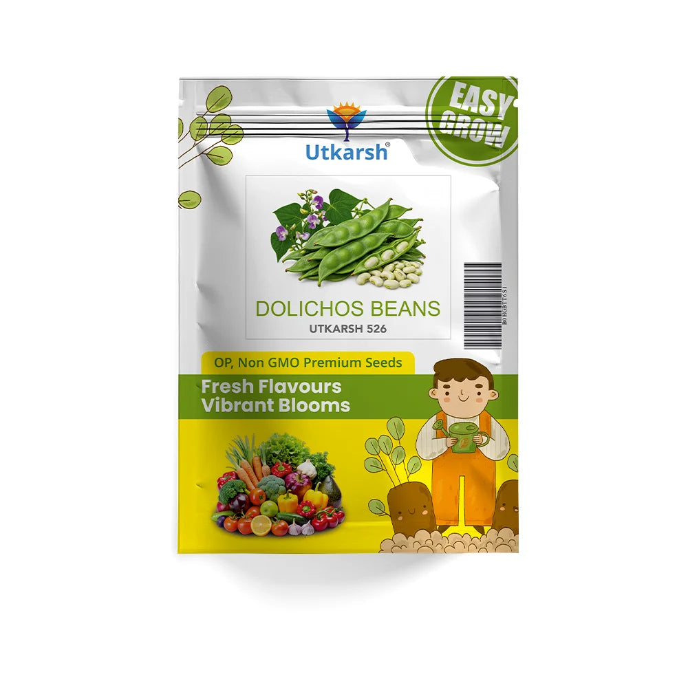 Dolichos (Sem Phali) Vegetable Seeds – Green | 20 g Pack | Easy to Grow for Home, Kitchen, Terrace & Balcony Gardens