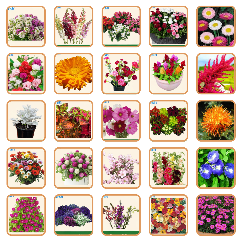 Hybrid Flower Seeds Combo – 50 Varieties | Beautiful Blooming Flowers | All Season Flower Seeds for Home & Garden | Easy to Grow & Low Maintenance | Long Lasting Blooms For Terrace & Balcony