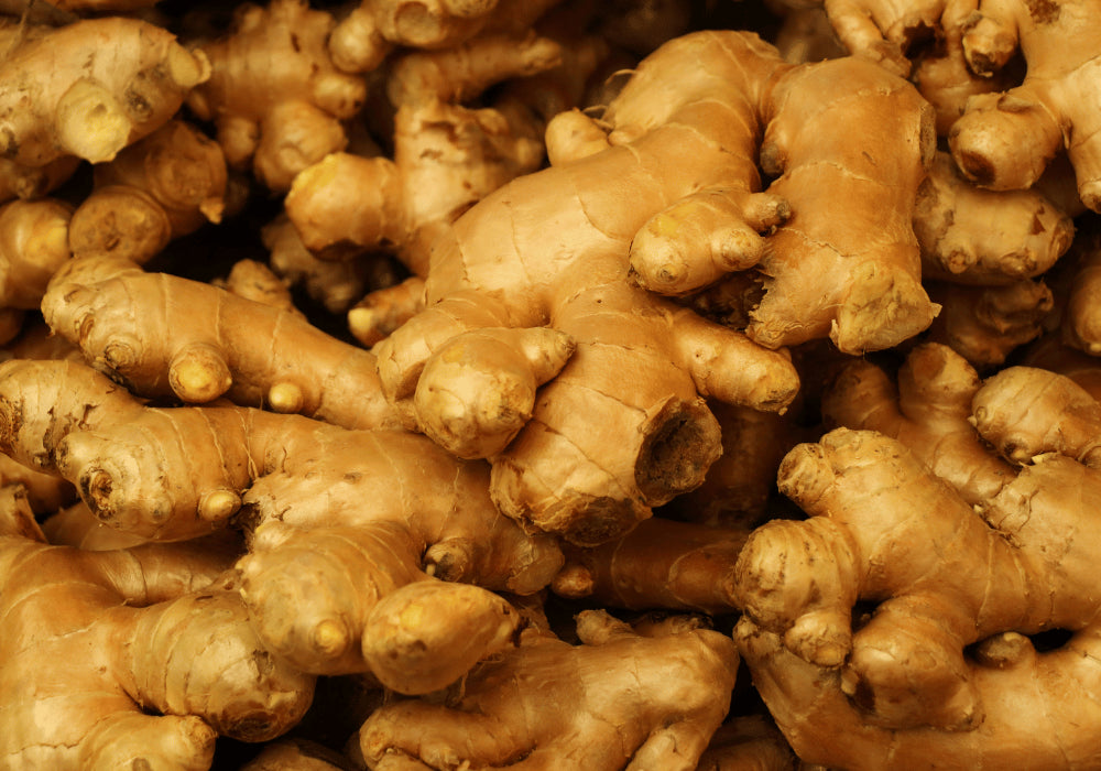 Ginger Farming Schedule Utkarsh