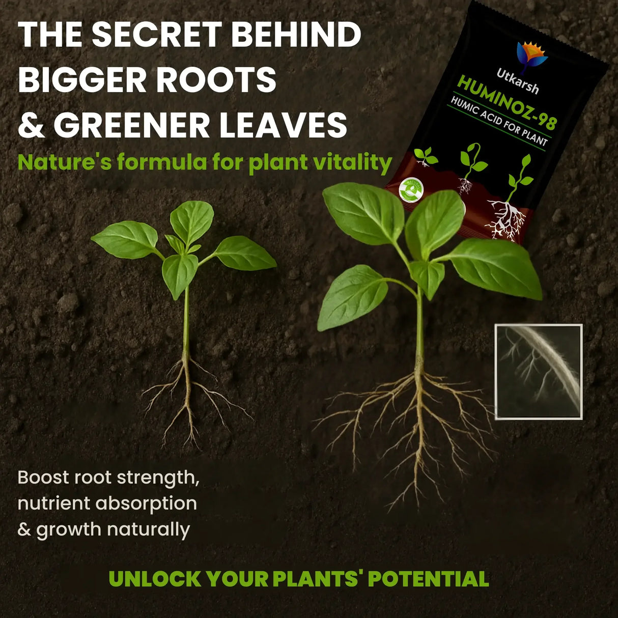 Utkarsh Huminoz-98 Humic Acid (98%) for Plants | Fertilizer for Potted Plants, Home Garden, Growth Enhancer, Soil Conditioner, Improves Root System - Utkarsh Agrochem Pvt ltd.