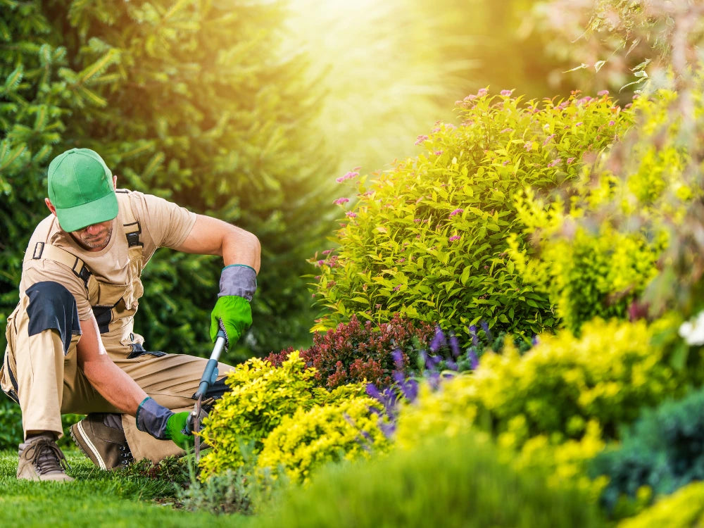 Utkarsh Landscape and Garden Maintenance Schedule