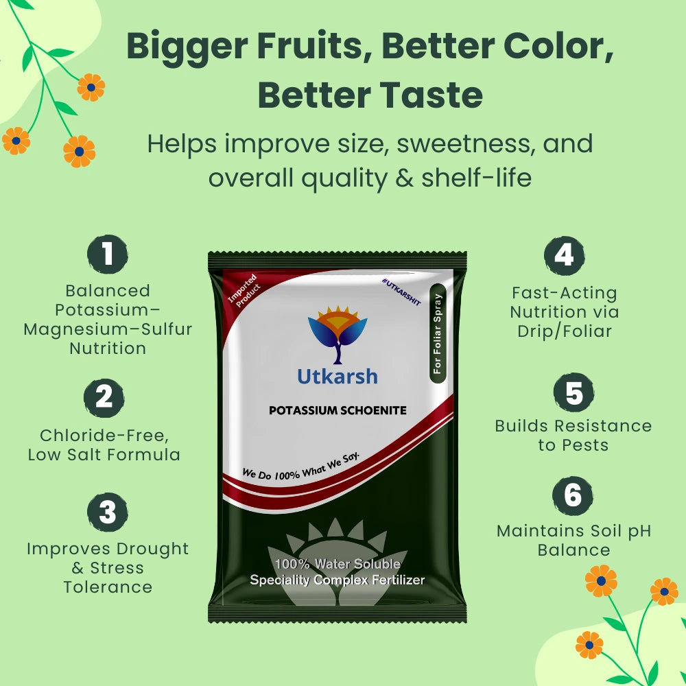 Potassium Schoenite, NPK 00 00 23 Fertilizers for Plants Growth & Home Garden | 100% Water Soluble Powder, Supplement for Fruits & Crops Yields