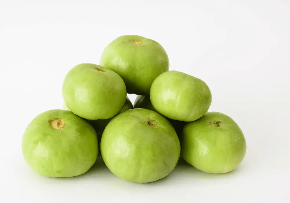 Indian Round Gourd - Tinda Farming Schedule Utkarsh