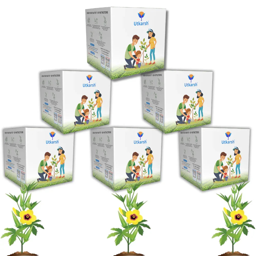 Seed Starter DIY Grow Kit with Gift Bags | Best Eco-Friendly Return Gift Ideas for Kids & Beginners | Easy to Grow it Yourself Gardening Set for Home & Kitchen Garden | Pack of 6 - Utkarsh Agrochem Pvt ltd.