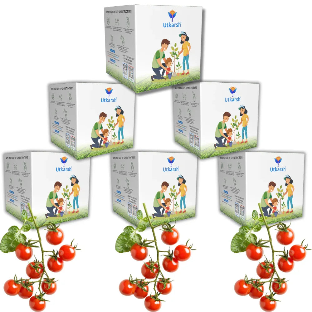 Seed Starter DIY Grow Kit with Gift Bags | Best Eco-Friendly Return Gift Ideas for Kids & Beginners | Easy to Grow it Yourself Gardening Set for Home & Kitchen Garden | Pack of 6 - Utkarsh Agrochem Pvt ltd.
