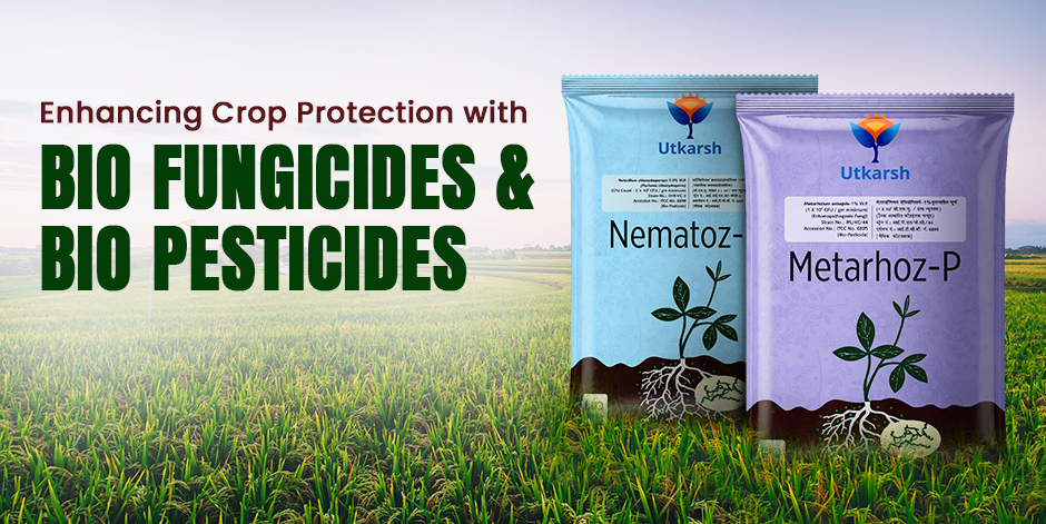 Enhancing Crop Protection with Bio Fungicides and Bio Pesticides