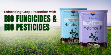 Enhancing Crop Protection with Bio Fungicides and Bio Pesticides