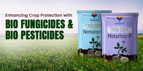 Enhancing Crop Protection with Bio Fungicides and Bio Pesticides - Utkarsh Agrochem Pvt ltd. 