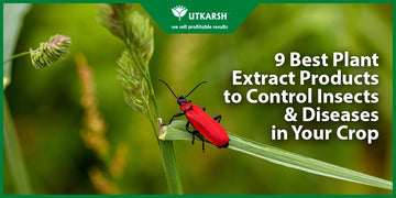 9 Best Plant Extract Products to Control Insects & Diseases in Your Crop