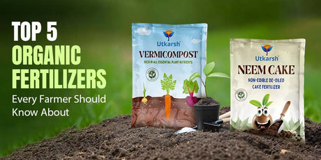 Top 5 Organic Fertilizers Every Farmer Should Know About - Utkarsh Agrochem Pvt ltd. 