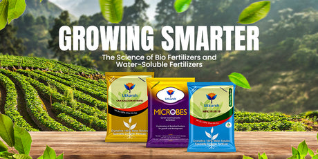 Growing Smarter: The Science of Bio Fertilizers and Water Soluble Fertilizers for Indian Farmers - Utkarsh Agrochem Pvt ltd. 