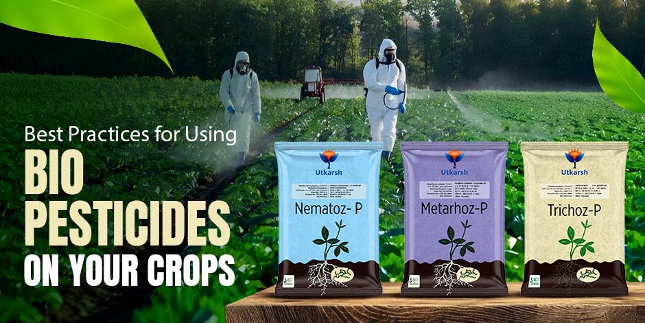 Best Practices for Applying Bio-Pesticides to Your Crops - Utkarsh Agrochem Pvt ltd. 