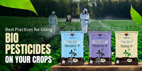 Best Practices for Applying Bio-Pesticides to Your Crops - Utkarsh Agrochem Pvt ltd. 