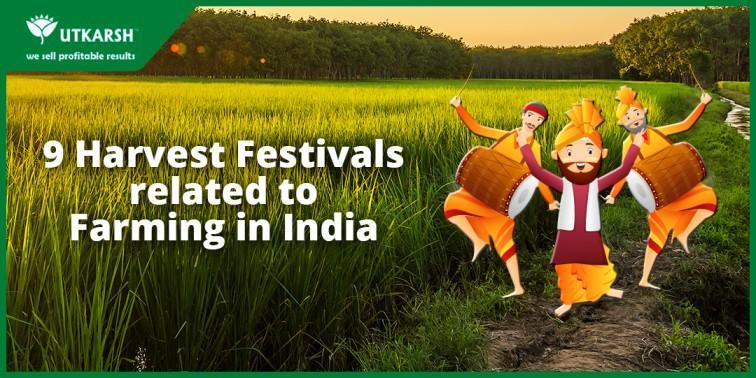 9 famous Harvest Festivals Celebrated across India