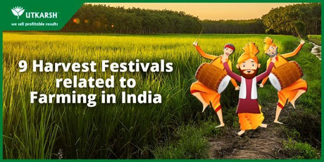9 famous Harvest Festivals Celebrated across India - Utkarsh Agrochem Pvt ltd. 
