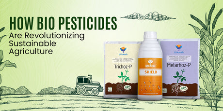 How Biopesticides Are Revolutionizing Sustainable Agriculture - Utkarsh Agrochem Pvt ltd. 