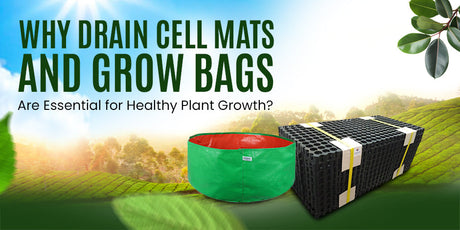 Why Draining Cell Mats and Grow Bags Are Important in Healthy Plant Growth - Utkarsh Agrochem Pvt ltd. 