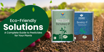 Eco-Friendly Solutions: A Complete Guide to Pesticides for Your Plants