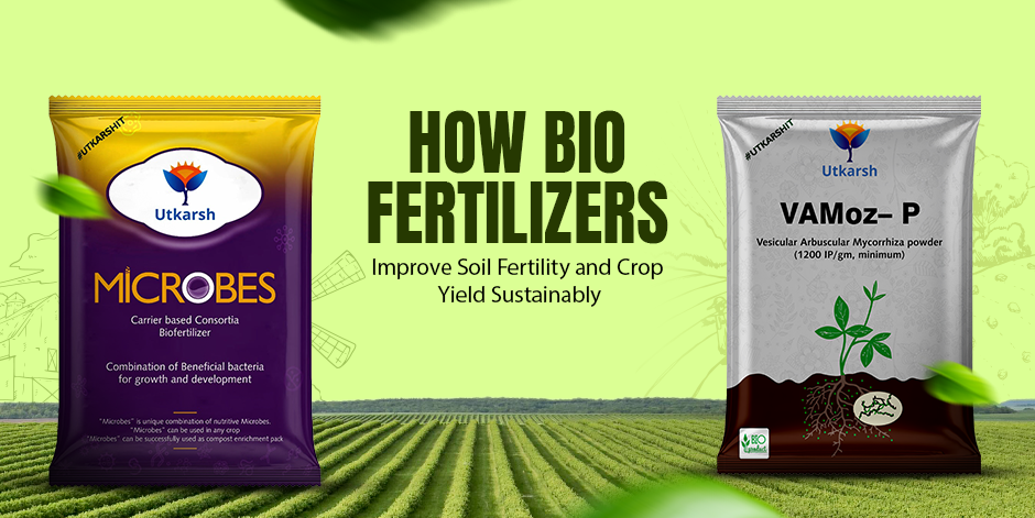 How Bio Fertilizers Improve Soil Fertility and Crop Yield Sustainably