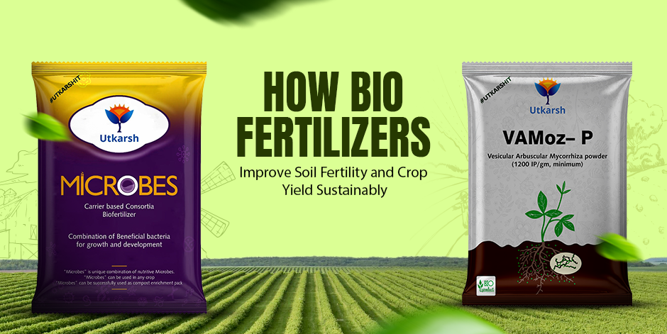 How Bio Fertilizers Improve Soil Fertility and Crop Yield Sustainably - Utkarsh Agrochem Pvt ltd. 