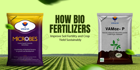 How Bio Fertilizers Improve Soil Fertility and Crop Yield Sustainably - Utkarsh Agrochem Pvt ltd. 