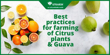 Best practices for farming of Citrus plants & Guava