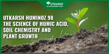 Utkarsh Huminoz 98 – The Science of Humic Acid, Soil Chemistry and Plant Growth