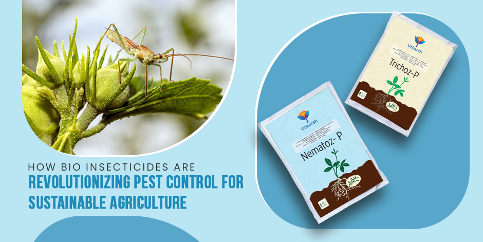 How Bio Insecticides Are Revolutionizing Pest Control for Sustainable Agriculture - Utkarsh Agrochem Pvt ltd. 