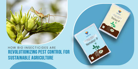 How Bio Insecticides Are Revolutionizing Pest Control for Sustainable Agriculture - Utkarsh Agrochem Pvt ltd. 