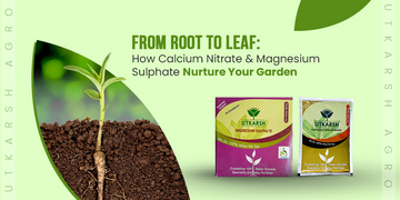 From Root to Leaf: How Calcium Nitrate and Magnesium Sulphate Nurture Your Garden