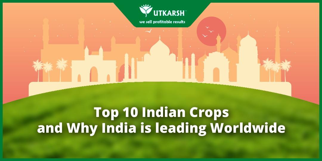 Top 10 Indian Crops and Why India is leading Worldwide - Utkarsh Agrochem Pvt ltd. 