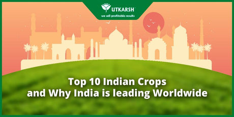Top 10 Indian Crops and Why India is leading Worldwide - Utkarsh Agrochem Pvt ltd. 